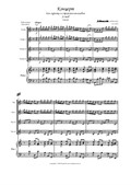 Violin concerto (1st movement)